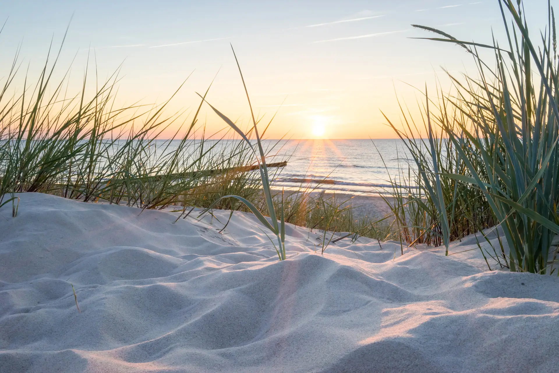 Your holiday destination on Usedom, the sunshine island - H+ Hotel Ferienpark Usedom - Official website